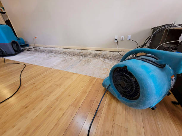 Professional Flood Damage Cleanup technician working in Manhasset, NY